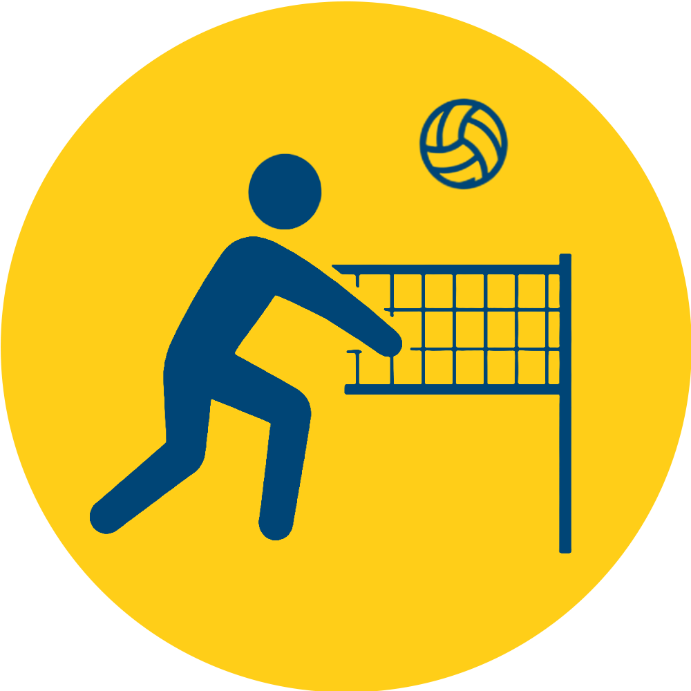 volleyball